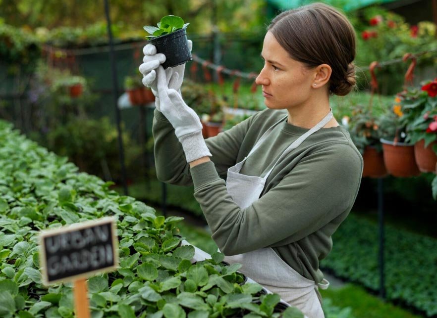 Organic Certification Guidance